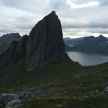 Fjordgard Leilighet A Extérieur photo