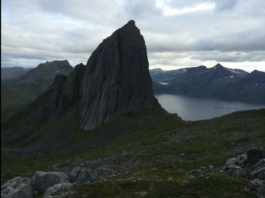 Fjordgard Leilighet A Extérieur photo